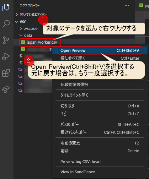 VScodeの拡張機能_Excel Viewerの使い方1